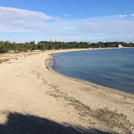 Strandzha Daire *